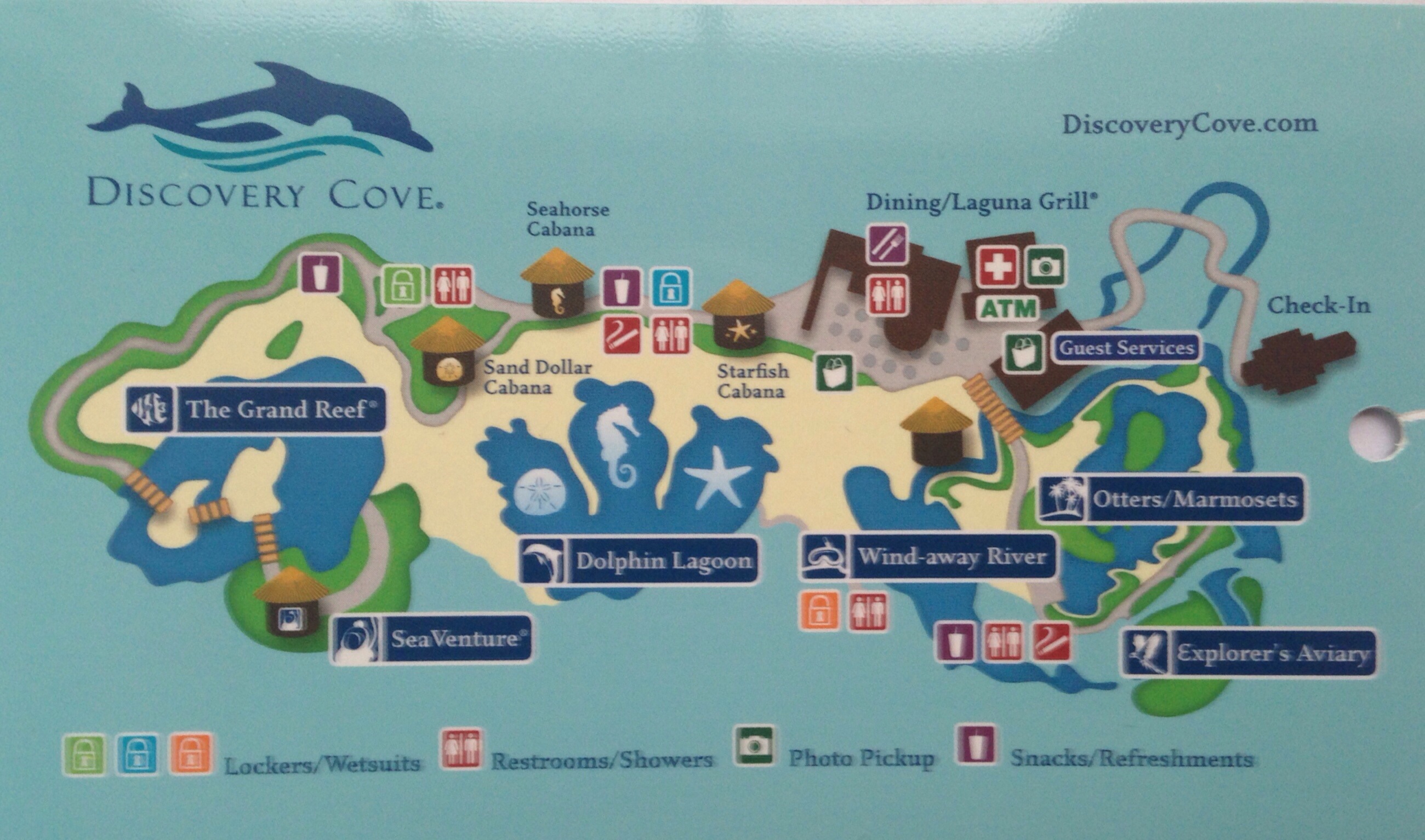 discovery-cove-orlando-s-hidden-gem-my-orlando-obsession