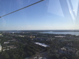 At almost the exact center, near the horizon, you can just make out Epcot's Spaceship Earth